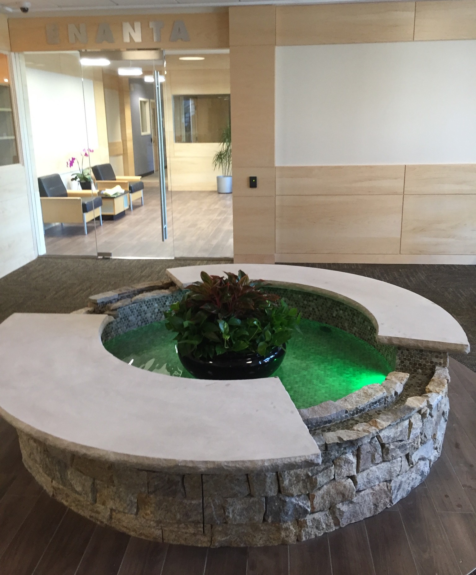 Lobby water feature